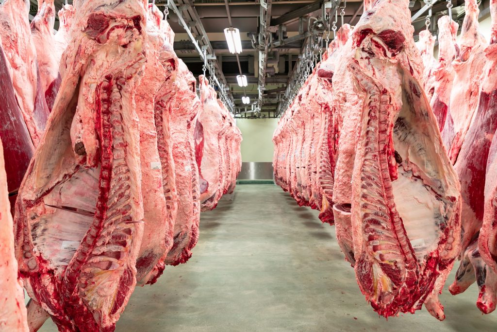 The High Court has ruled that elements of the Food Standards Agency’s charging regime for official controls at slaughterhouses and abattoirs were unlawful, in a legal case thought to change the way inspection costs are recovered from the meat industry.